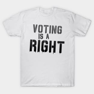 Voting is Not a Freaking Honor--IT IS A RIGHT T-Shirt